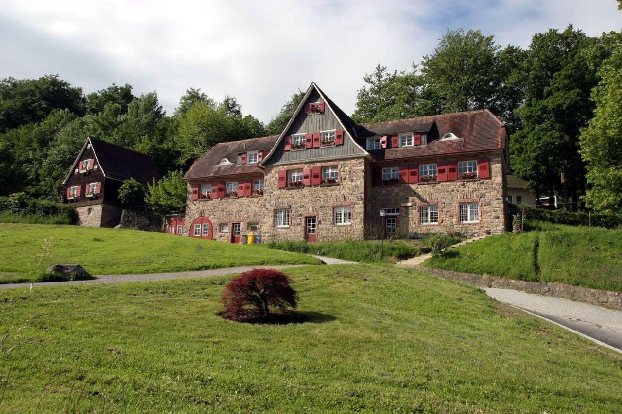 Waldblick Appartement Ober-Hambach Экстерьер фото