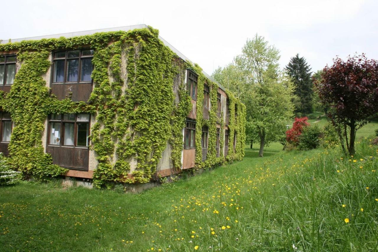 Waldblick Appartement Ober-Hambach Экстерьер фото